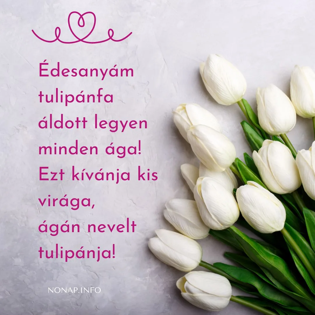 rövid anyák napi vers, édesanyám tulipánfa